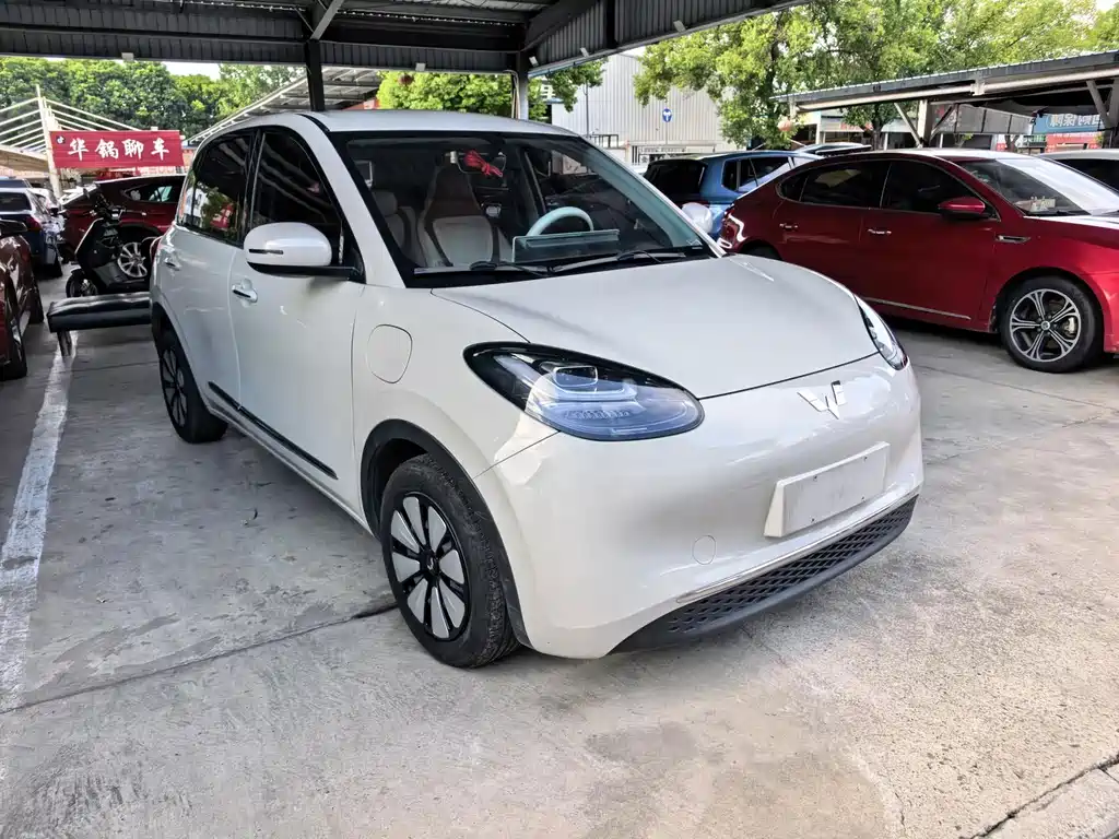 Wuling Bingo 2024