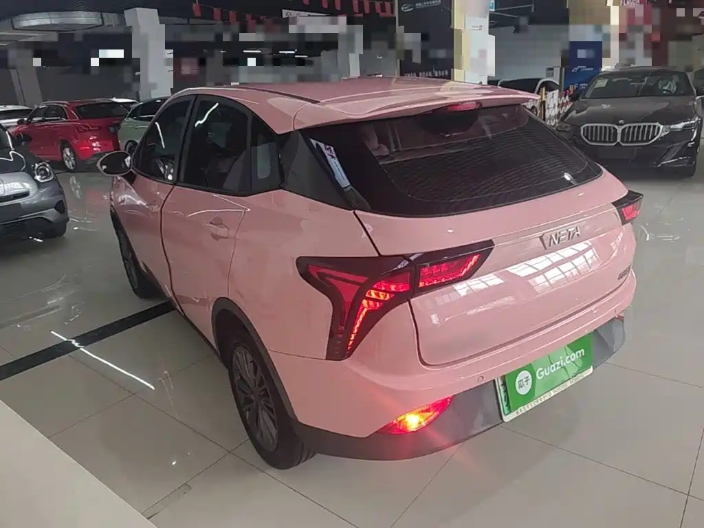 Neta V 2022