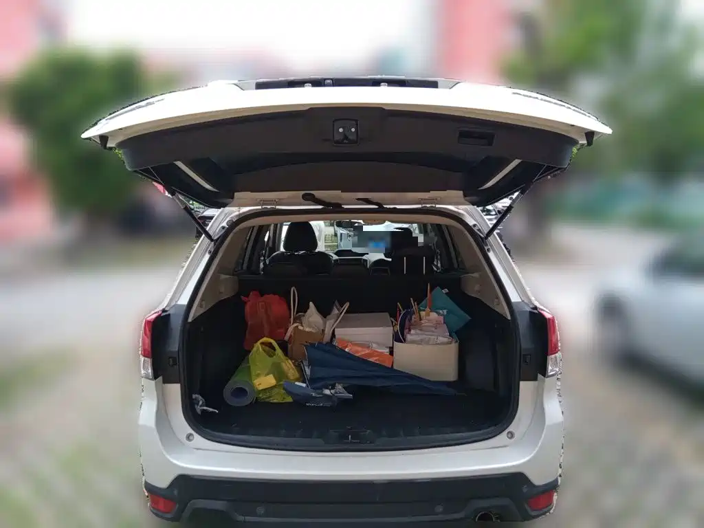 Subaru Forester 2019 — фото 20