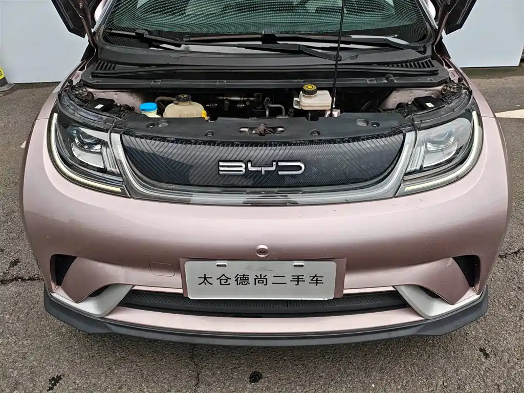 BYD Dolphin 2021 — фото 10