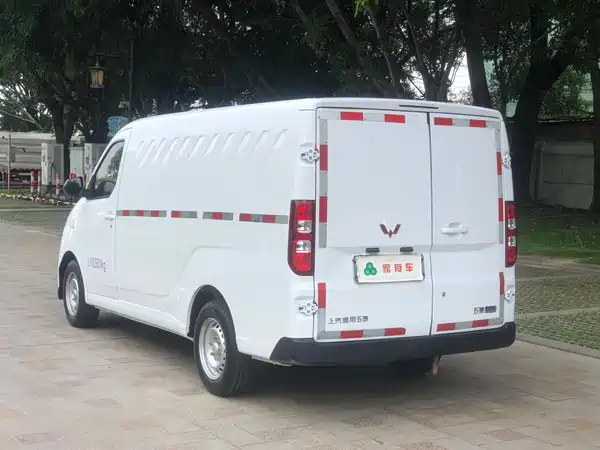 Wuling Yangguang 2024
