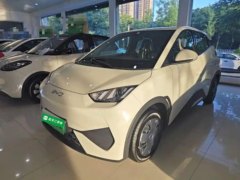 BYD Seagull 2026