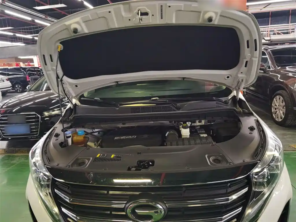 GAC Motor Trumpchi M8 2022 — фото 16