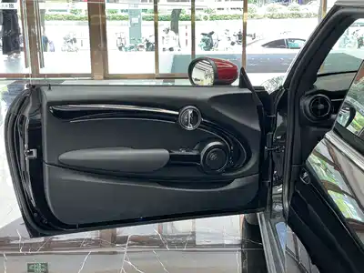 MINI MINI 2022