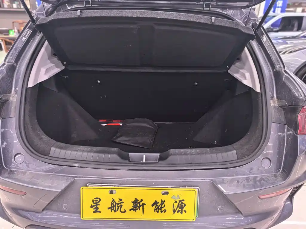BYD e2 2021