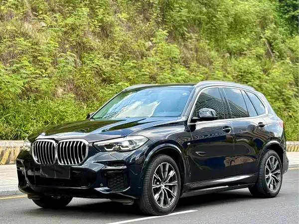 BMW X5 2022