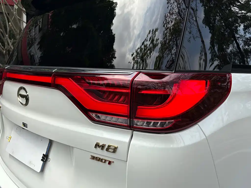 GAC Motor Trumpchi M8 2022 — фото 23
