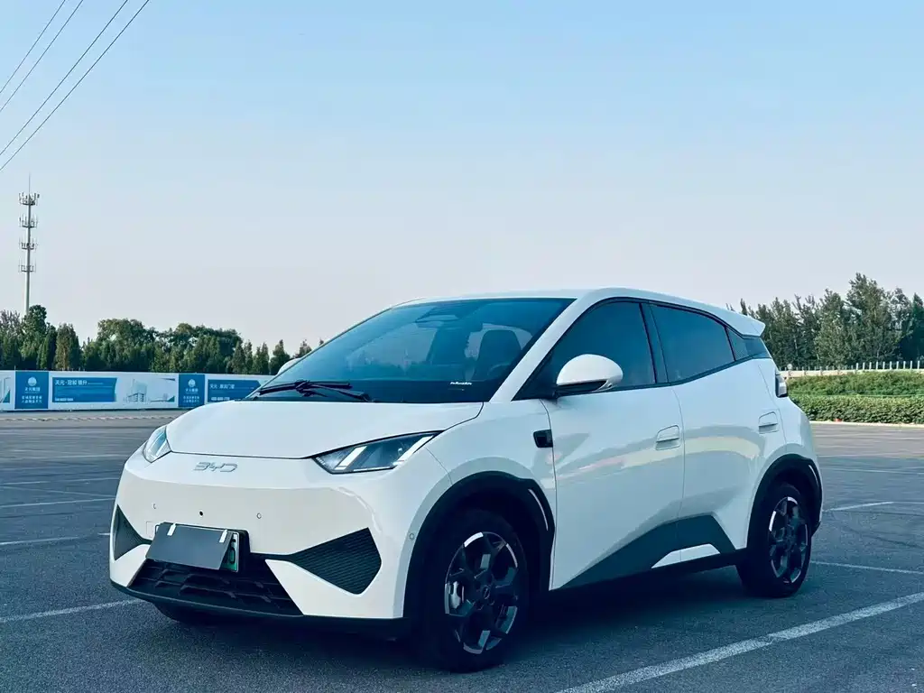 BYD Seagull 2025