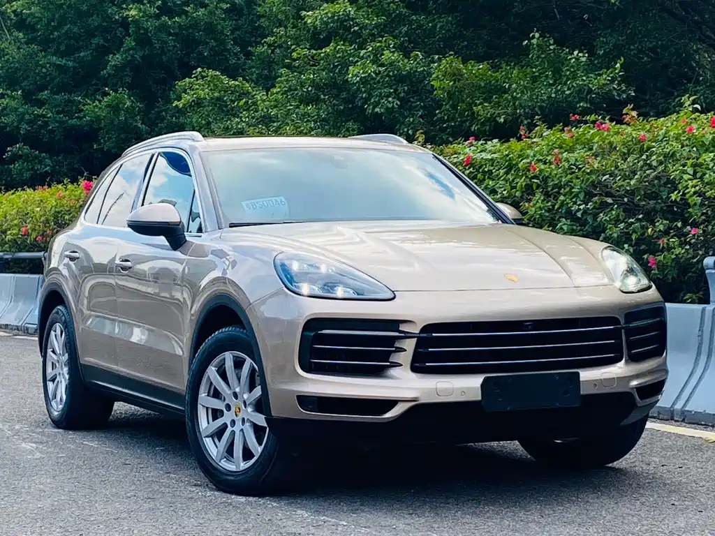 Porsche Cayenne 2019 — фото 4
