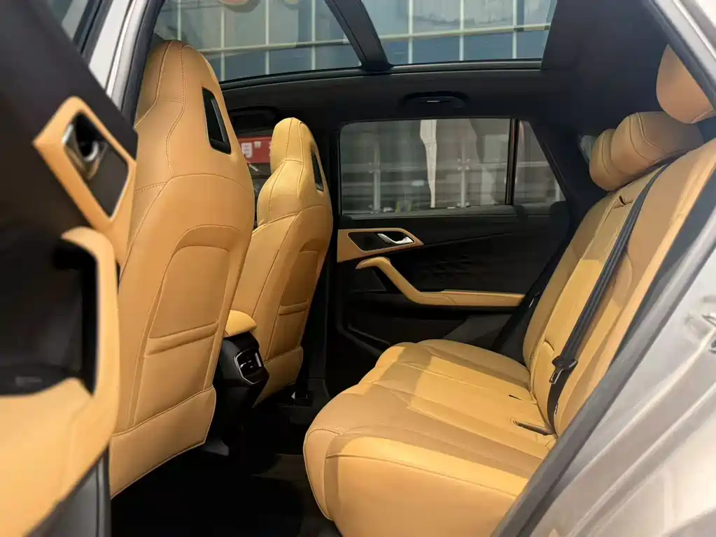 Roewe RX5 New Energy 2024 — фото 13