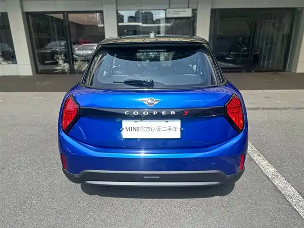 MINI MINI 2025