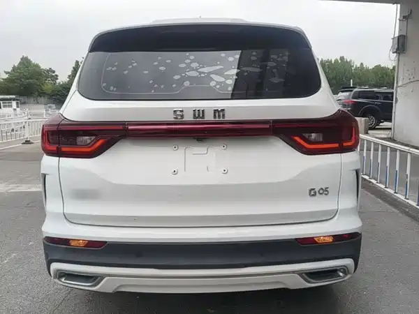 SWM G05 2020