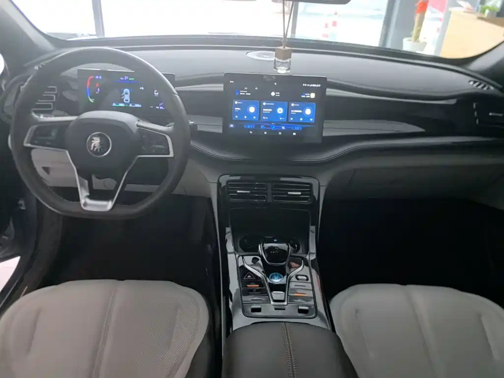 BYD Qin PLUS 2024 — фото 10