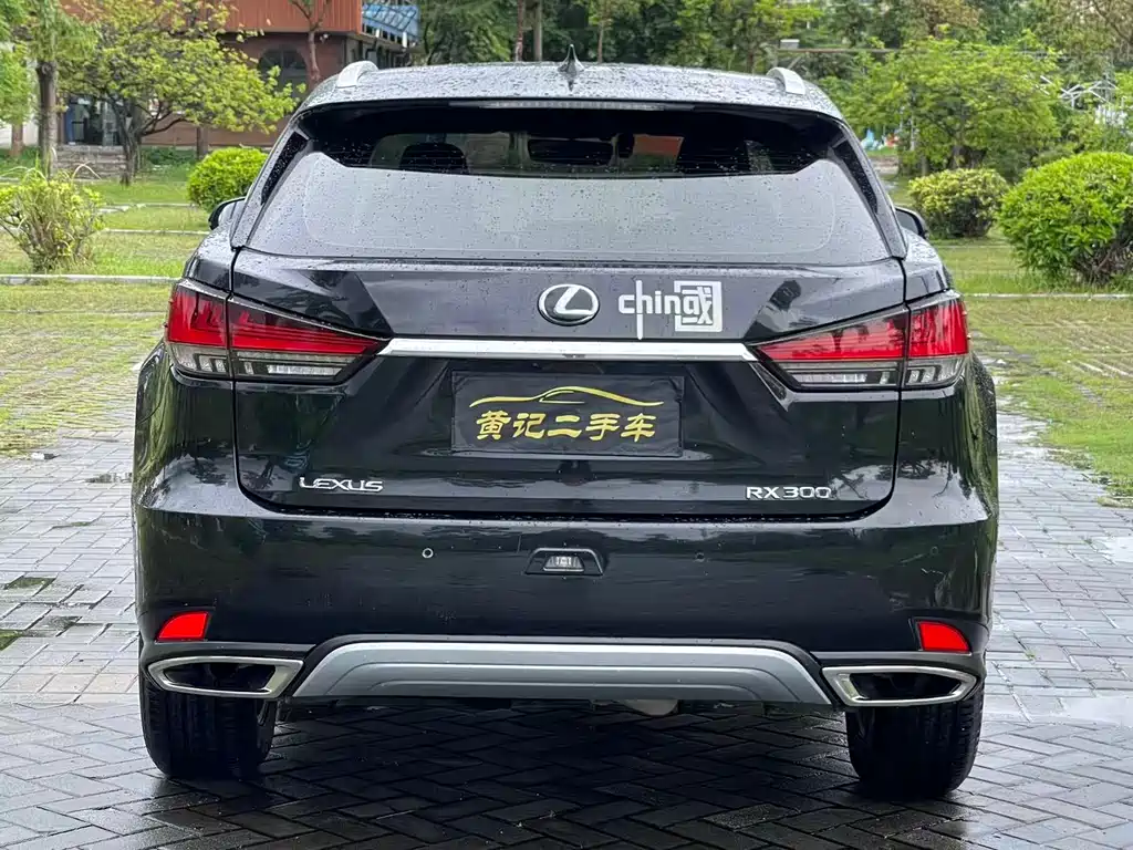 Lexus RX 2020