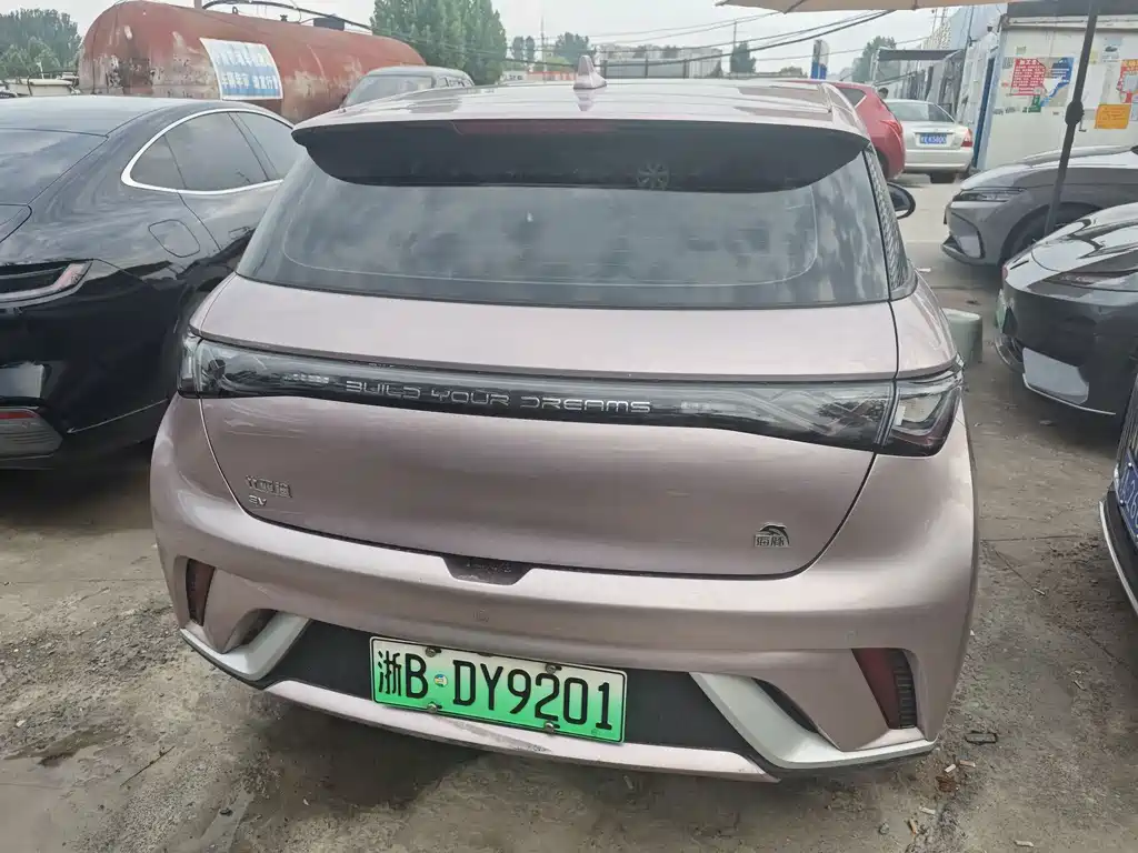 BYD Dolphin 2022