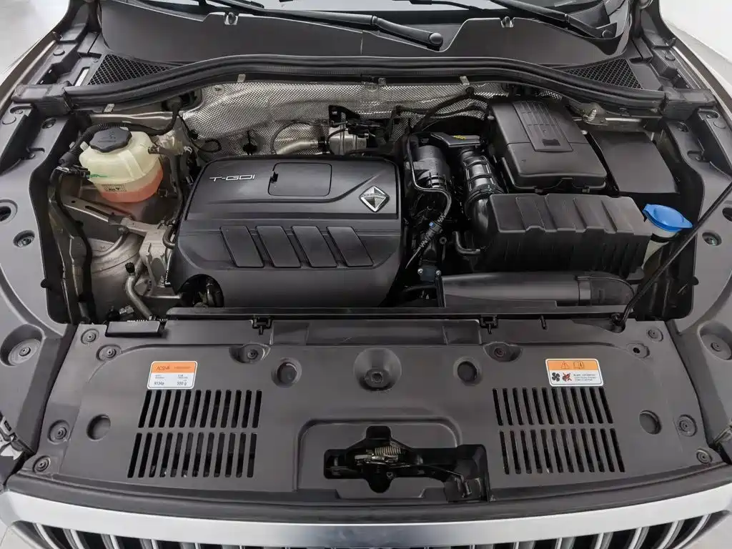 Borgward BX5 2021