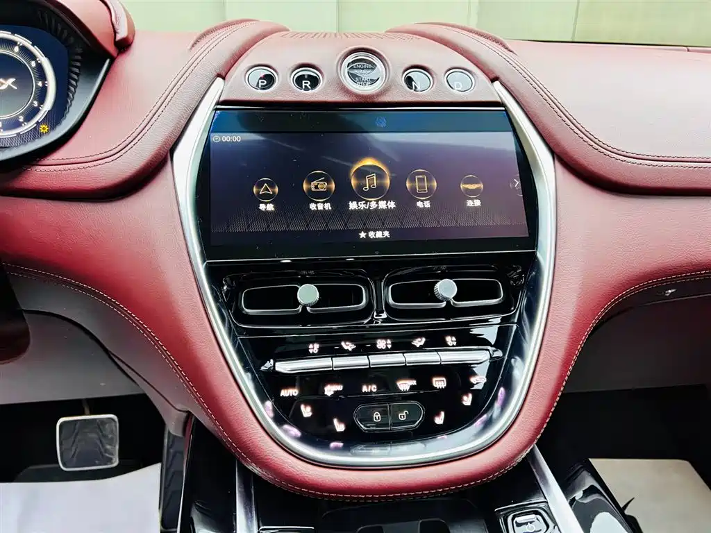 Aston Martin DBX 2021 — фото 13