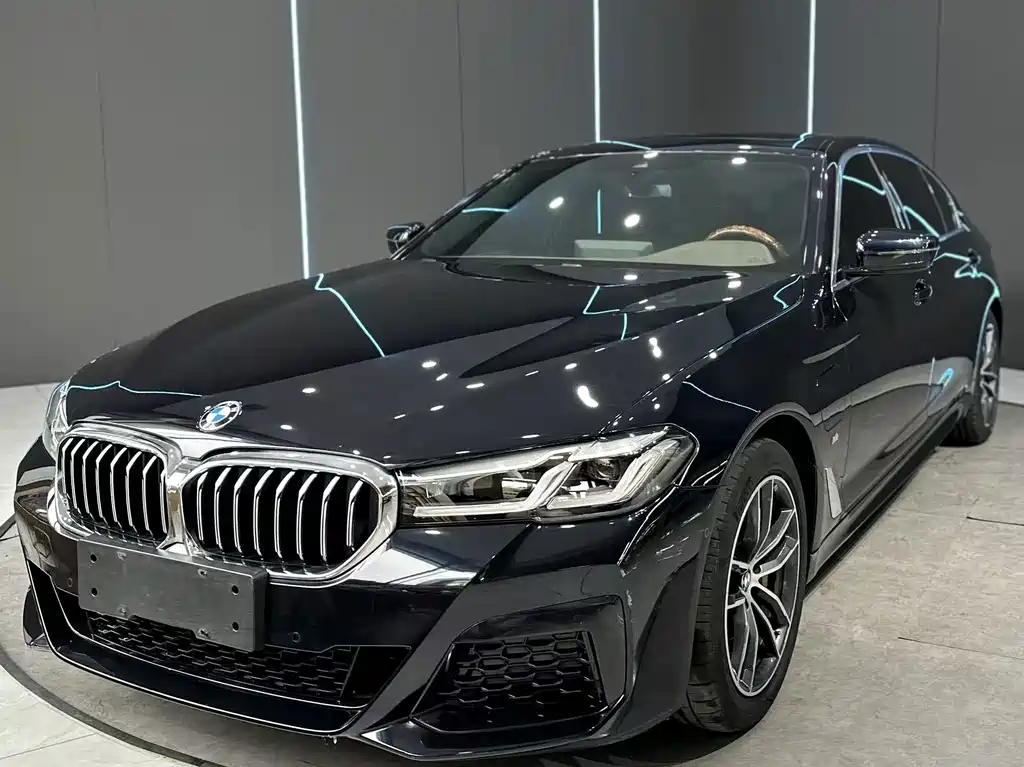 BMW 5 Series New Energy 2021 — фото 1
