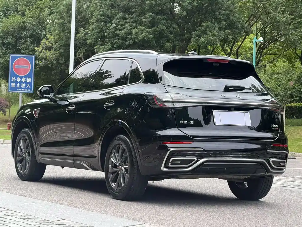 Hongqi HS5 2024 — фото 16