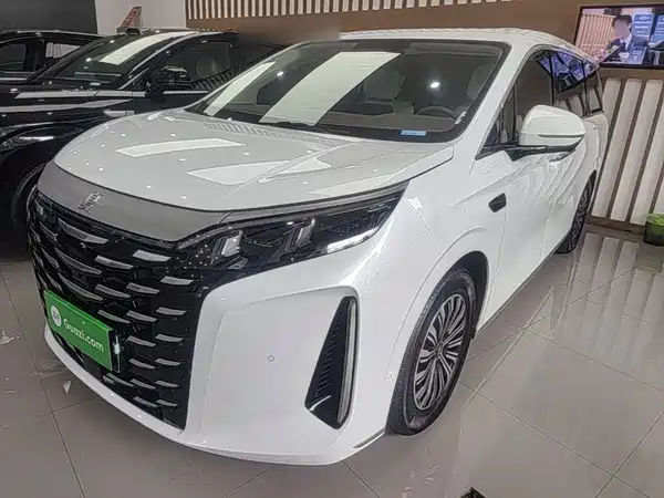 BYD Summer 2025