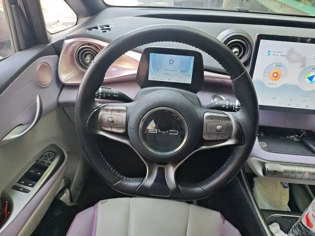 BYD Dolphin 2022