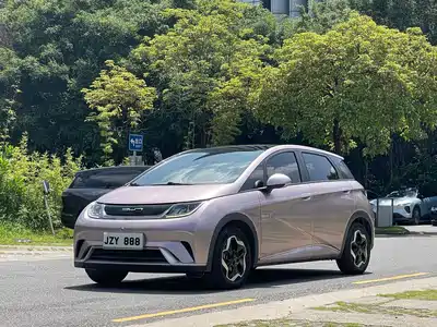 BYD Dolphin 2022