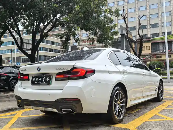 BMW 5 Series New Energy 2022