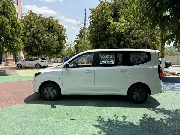 Wuling Hongguang New Energy 2026