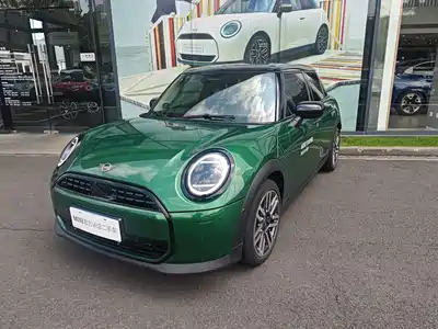 MINI MINI 2025
