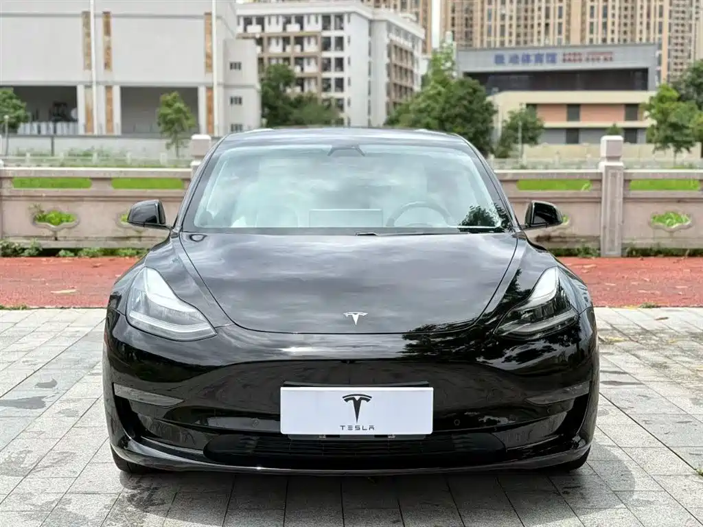 Tesla Model 3 2020 — фото 2