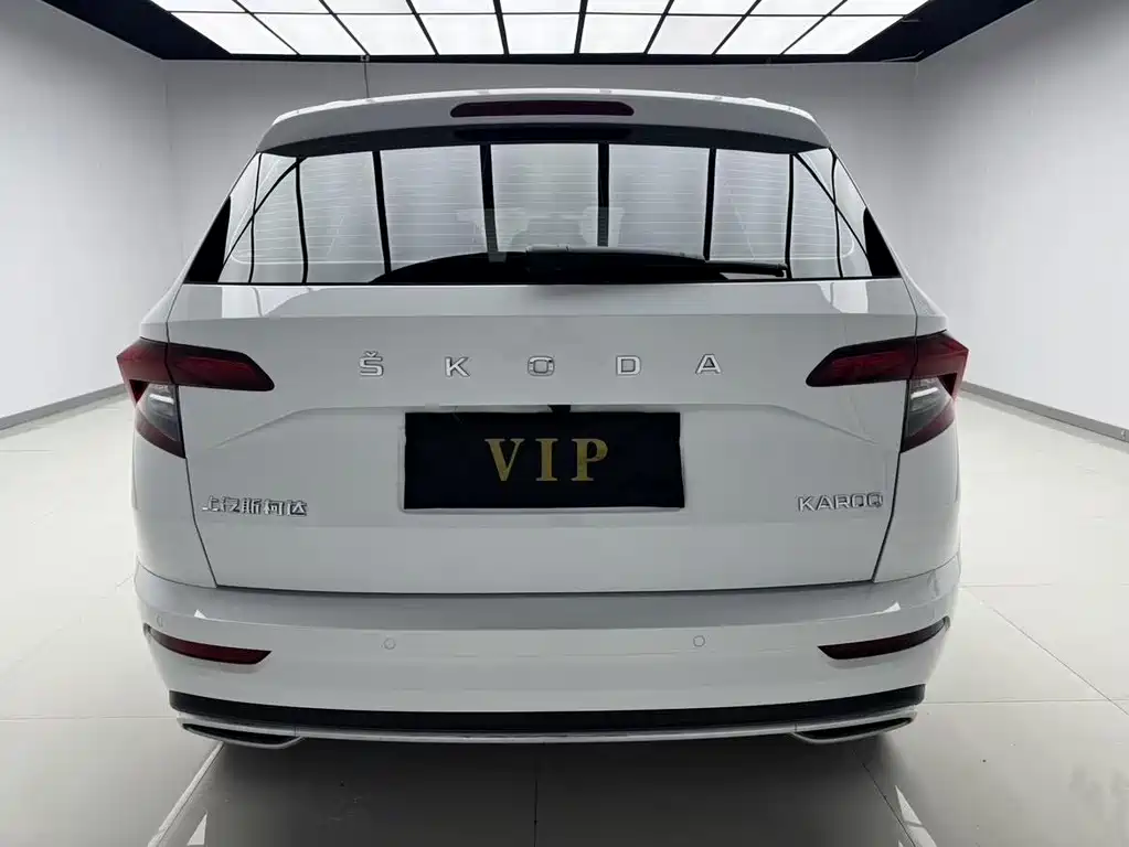 Skoda Karoq 2023 — фото 4