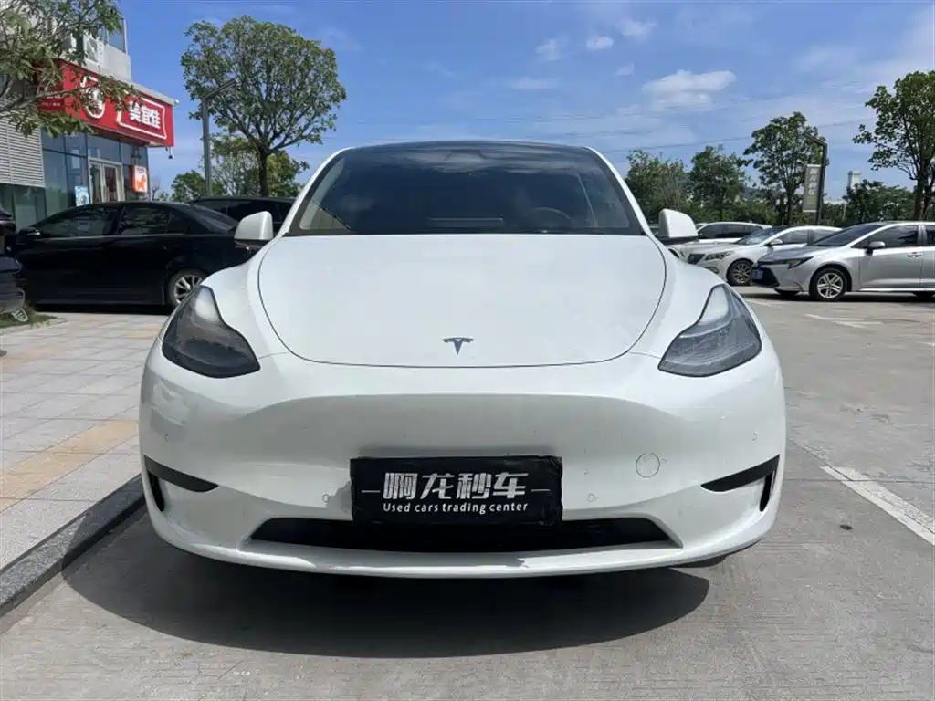 Tesla Model Y 2023 — фото 2