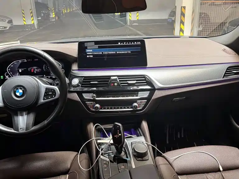 BMW 5 Series New Energy 2021