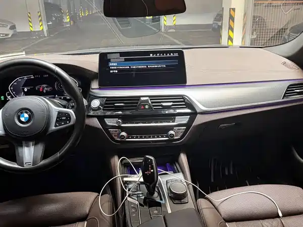 BMW 5 Series New Energy 2021