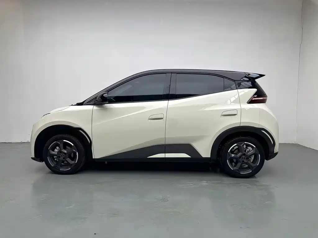 BYD Seagull 2024
