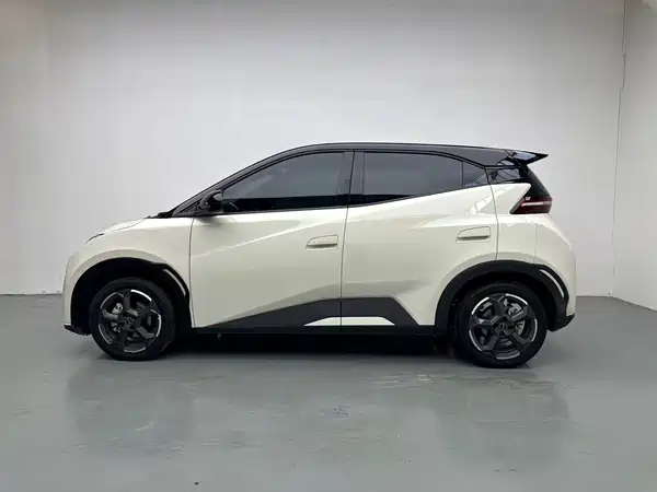 BYD Seagull 2024