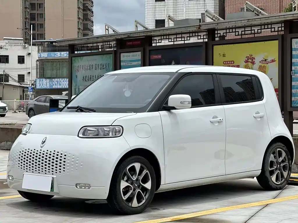 Ora White Cat 2022