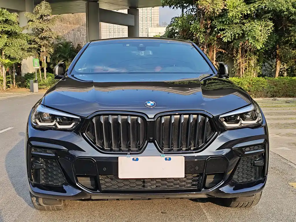 BMW X6 2022 — фото 2