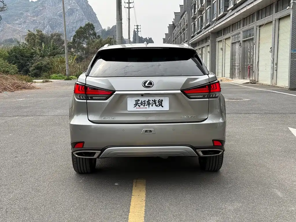 Lexus RX 2021 — фото 10