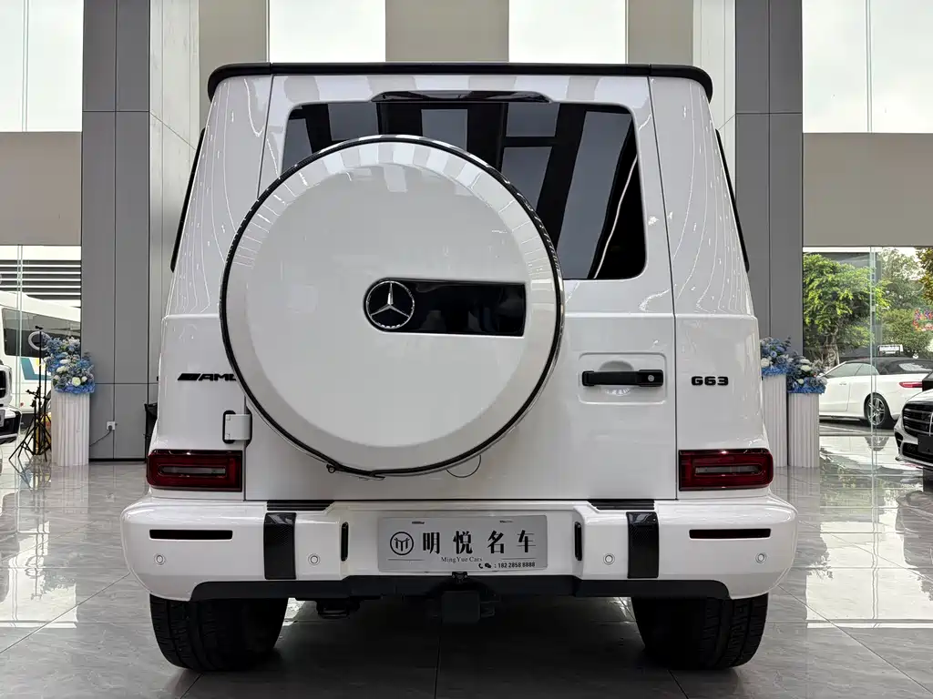Mercedes-Benz G-Class 2020 — фото 16