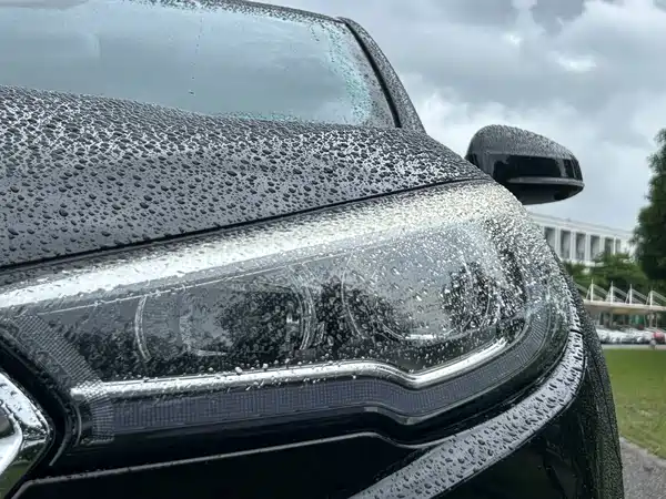 Hongqi H5 2020