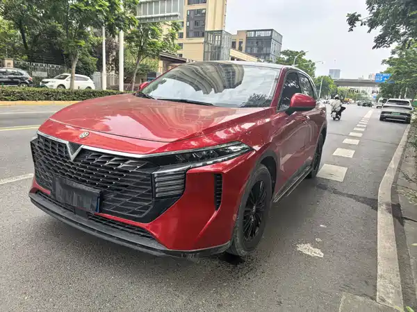 Venucia Big V 2021
