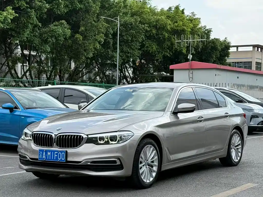 BMW 5 Series 2019