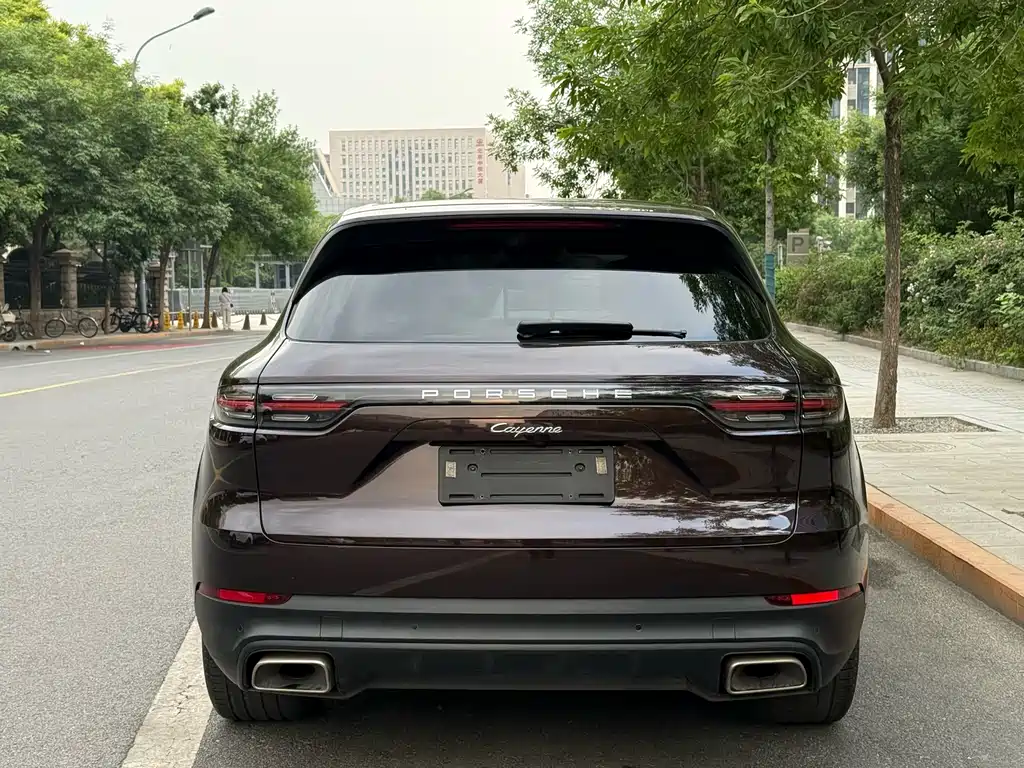 Porsche Cayenne 2020 — фото 22