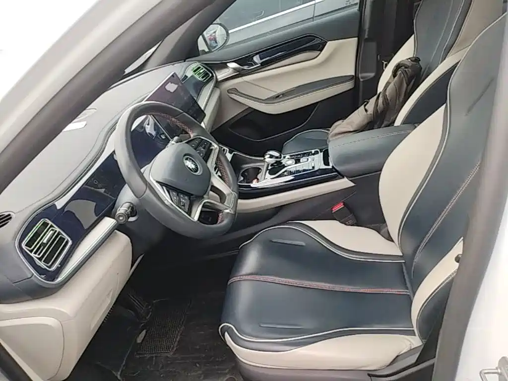 BYD Qin PLUS 2021 — фото 15