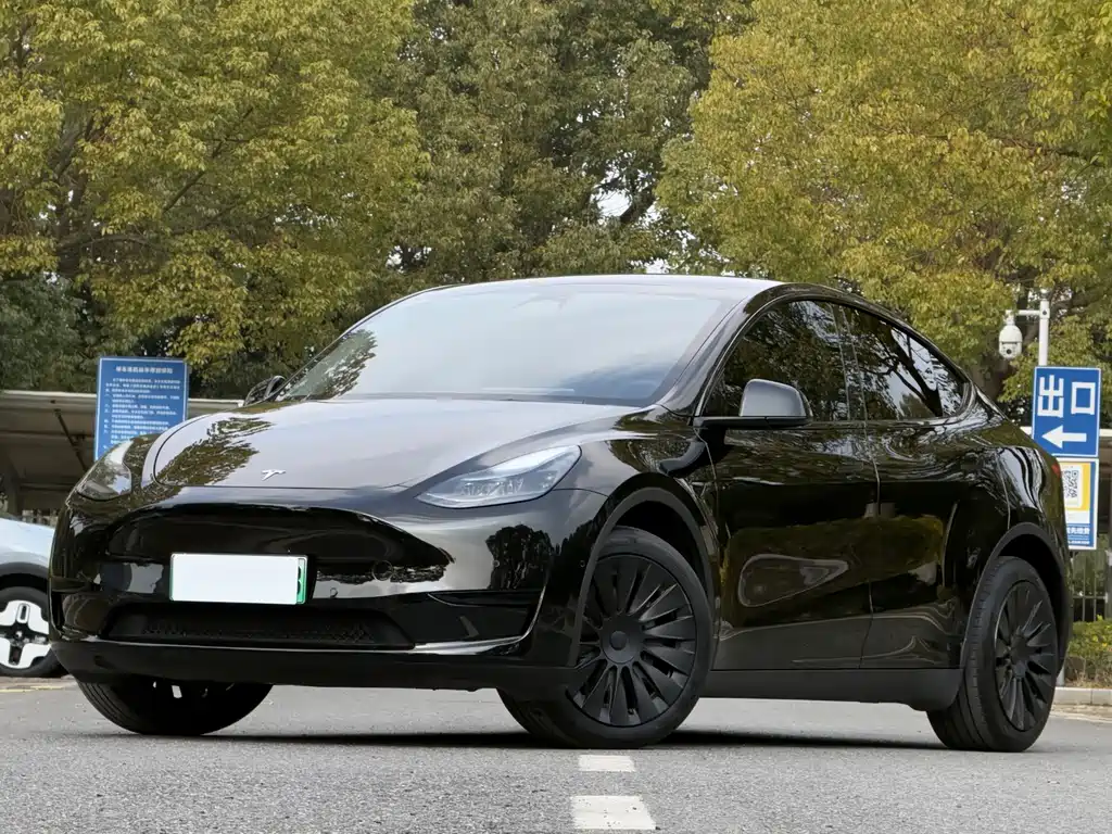 Tesla Model Y 2024 — фото 1