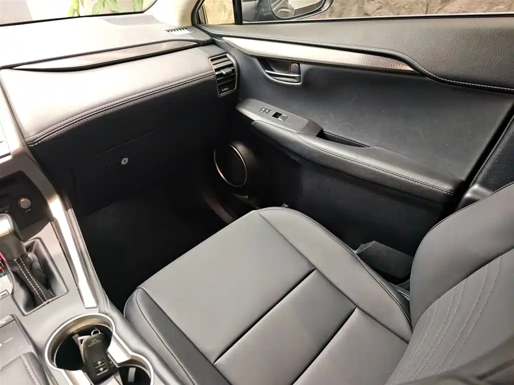 Lexus NX 2019 — фото 17