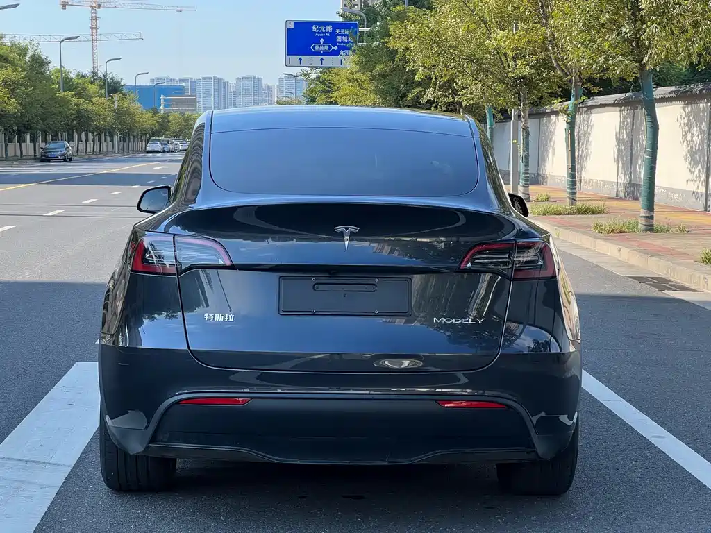 Tesla Model Y 2021 — фото 7