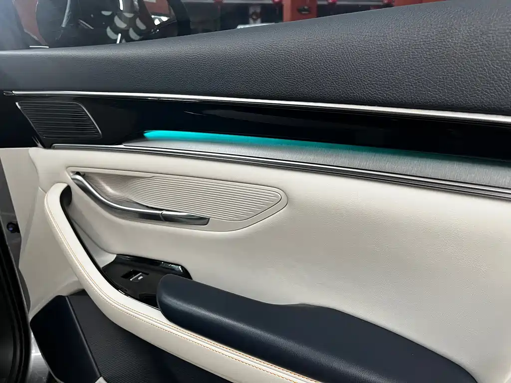 BYD Song PLUS New Energy 2021 — фото 16