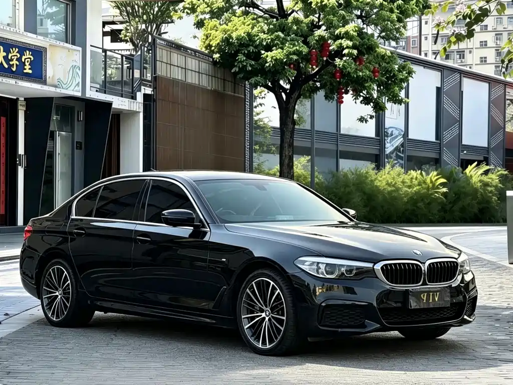 BMW 5 Series 2019 — фото 3